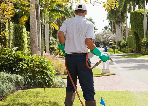 About Peterboro NY Pest Control
